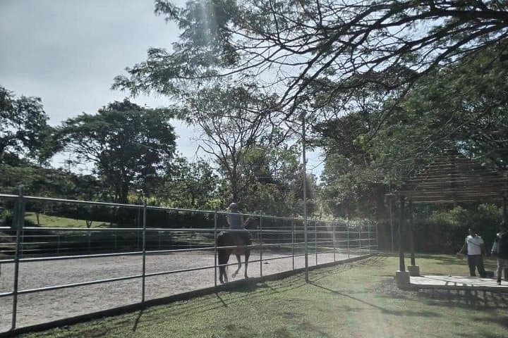 Guanacaste Cowboy Experience: Beginner Equestrian Classes in Costa Rica photo 2