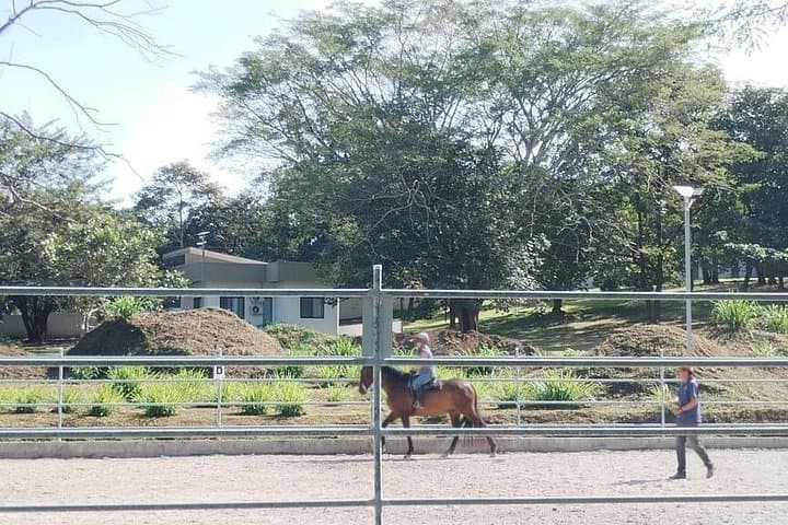 Guanacaste Cowboy Experience: Beginner Equestrian Classes in Costa Rica photo 4
