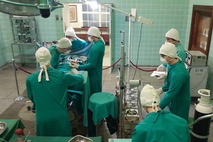 Heart Transplant Museum & Constantia Wine Tour — Cape Town Medical History and Wine Tasting