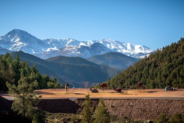 Atlas Mountains and Ourika Waterfalls Day Trip from Marrakech photo 3
