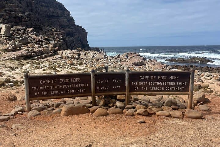 Cape Point, Penguins & Chapman’s Peak: Private Full-Day Cape Peninsula Tour
