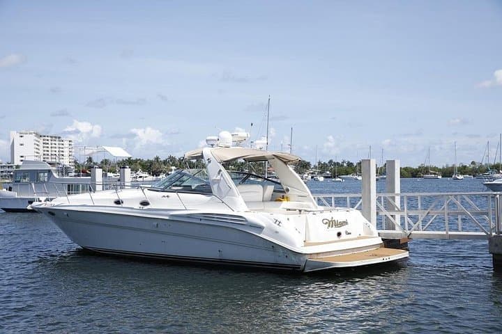Private 45-Foot Yacht Rental in Miami — Biscayne Bay Cruises & Sandbar Stops photo 4