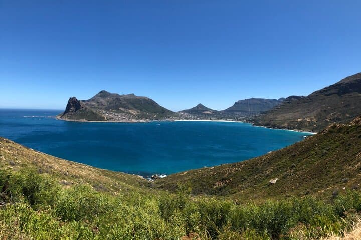 Cape Point, Penguins & Chapman’s Peak: Private Full-Day Cape Peninsula Tour photo 5