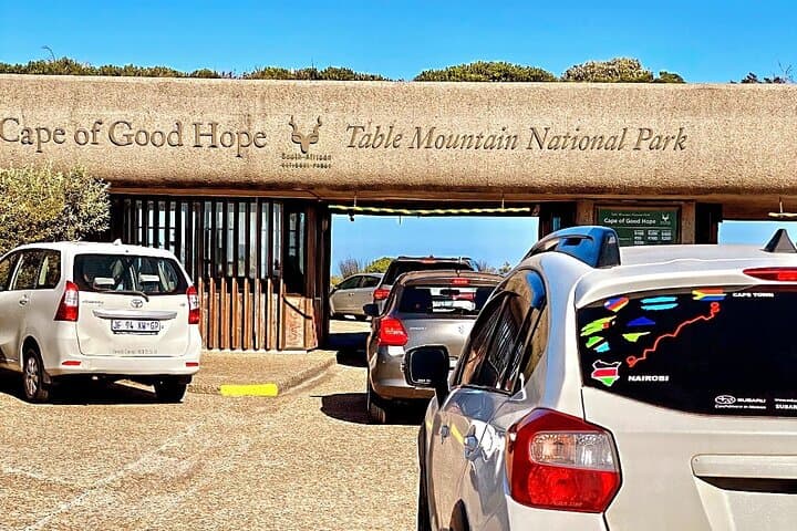 Cape Point, Penguins & Chapman’s Peak: Private Full-Day Cape Peninsula Tour photo 6