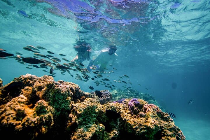 Half-Day Luxury Private Catamaran in Bora Bora — Sailing, Snorkeling & Floating Bar photo 5