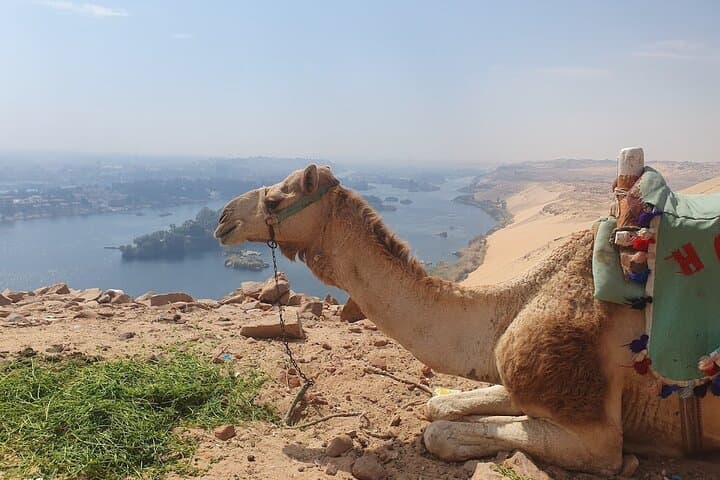 Custom Private Aswan Tour: Philae Temple, Nubian Villages & High Dam