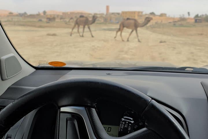 Private Marrakech Car Hire & Driver — Land Cruiser or Mercedes Vito Day Tours photo 5
