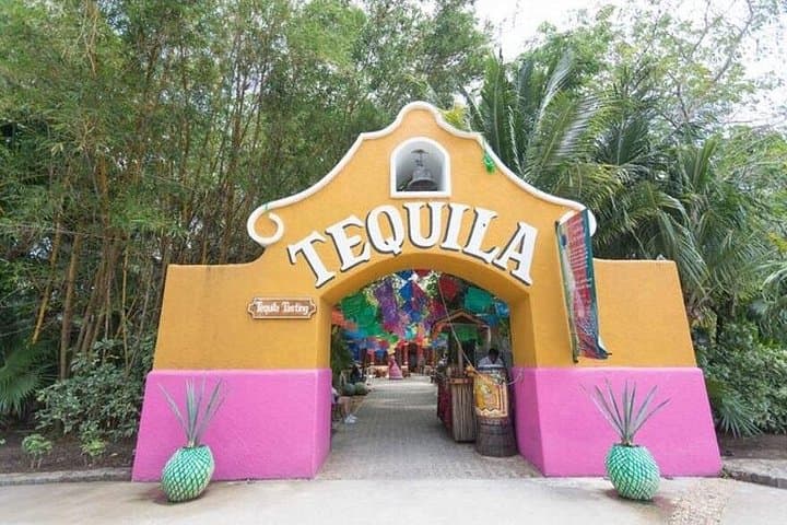 Chankanaab Eco Park & Beach Club Cozumel — Snorkel the Second-Largest Barrier Reef photo 5