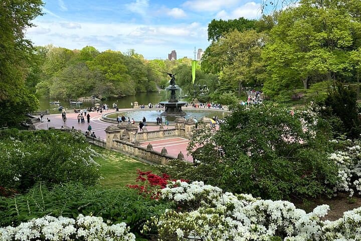 Central Park Private Pedicab Tour: Iconic Landmarks & Local Stories photo 2