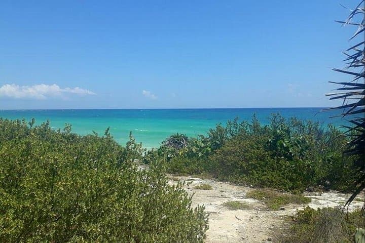 Cozumel Private Jeep Tour — San Gervasio Ruins, Snorkel & Beach Lunch photo 4