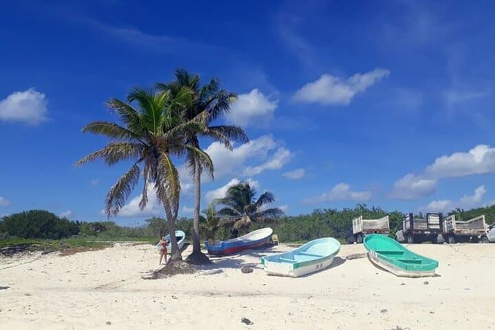 Custom Private Cozumel Island Tour — 3–5 Hour Tailored Excursions photo 3