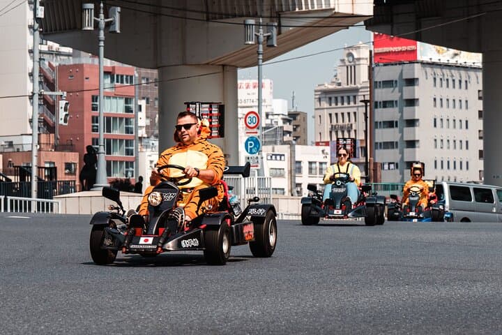 Street Go-Karting in Tokyo: Skytree & Akihabara IDP-Required City Tour