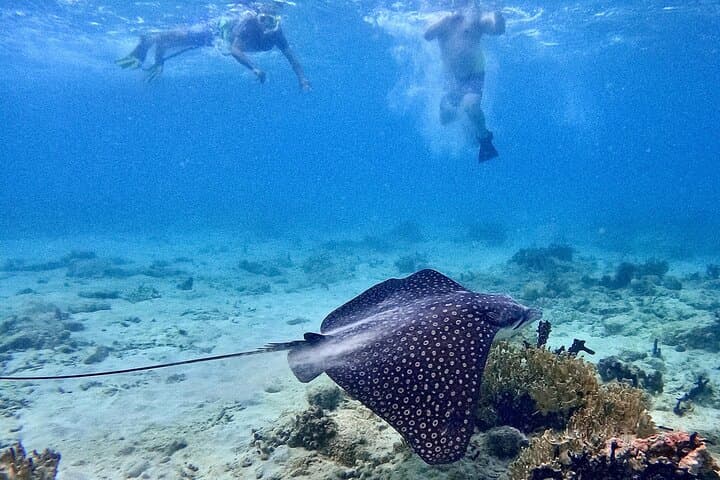 Culebra Day Trip: Swim with Turtles and Flamenco Beach Ferry Adventure photo 5