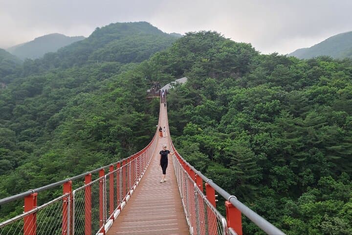 DMZ Private Tour & Suspension Bridge: Visit Imjingak, Third Tunnel & Dora Observatory