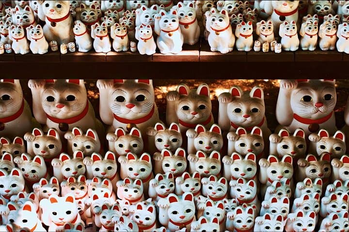 Shibuya Walking Tour: Hachiko Statue & Gotoku-ji Lucky Cat Temple photo 1