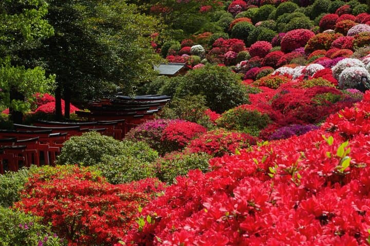 Tokyo's Yanaka and Ueno: A Three-Hour Walk Through Old Tokyo photo 3