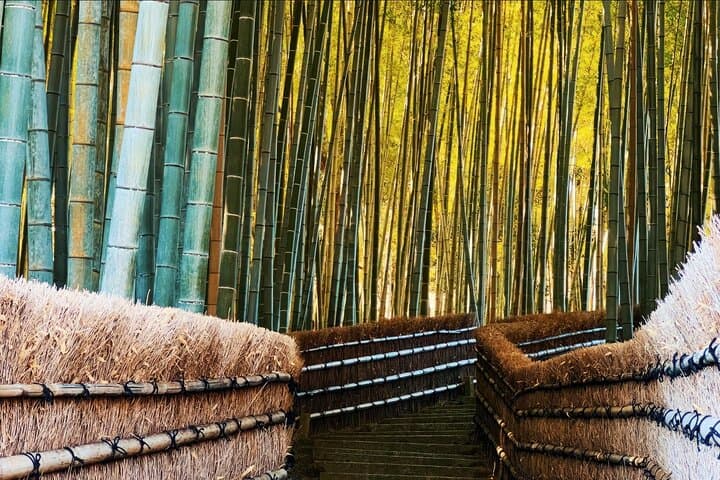 Arashiyama Bamboo Forest Walking Tour — Kyoto’s Bamboo Groves, Kameyama & Togetsukyo