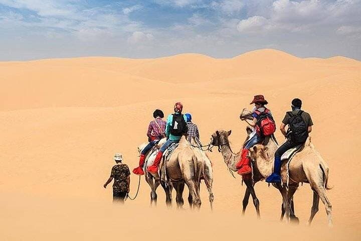 Dubai Desert Safari: Dune Bashing, Camel Ride, Buggy & Quad Adventure photo 6
