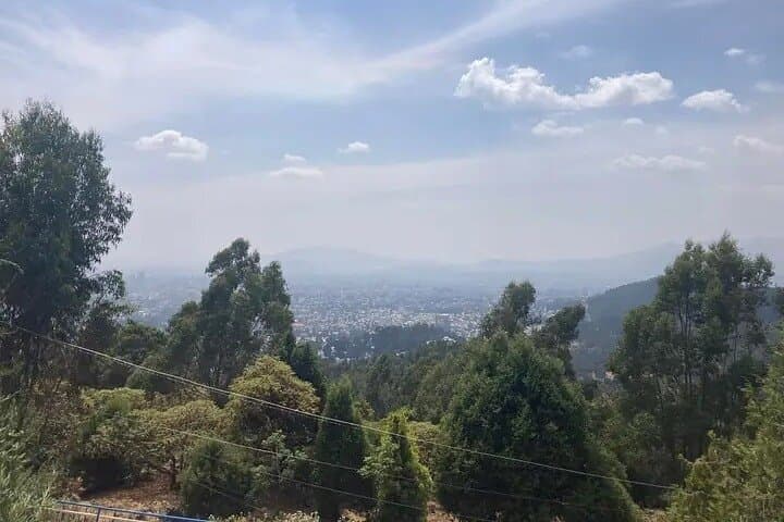 Discover Addis Ababa: Private Full-Day Cultural Tour with Entoto Views photo 5