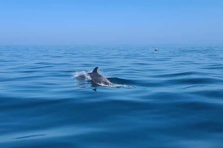 Long Beach Jetski Coastal Tour — Palos Verdes to Huntington Pier Adventure photo 3
