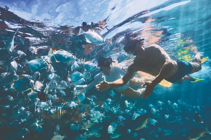 Moreton Island Scuba Dive Tour at Tangalooma — Day Trip from Brisbane photo 2