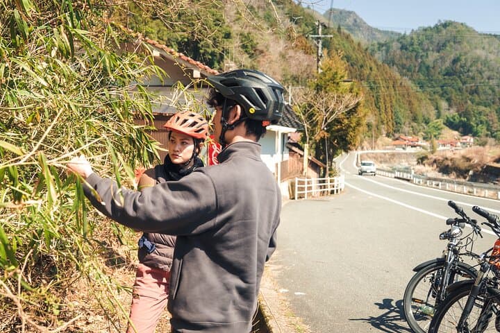 E‑Bike Food Tour in Yuki: Ride, Harvest, and Soak in Hiroshima’s Countryside photo 3