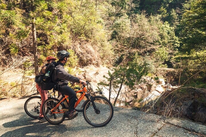 E‑Bike Food Tour in Yuki: Ride, Harvest, and Soak in Hiroshima’s Countryside photo 4