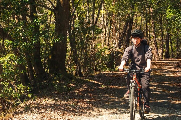 E‑Bike Food Tour in Yuki: Ride, Harvest, and Soak in Hiroshima’s Countryside