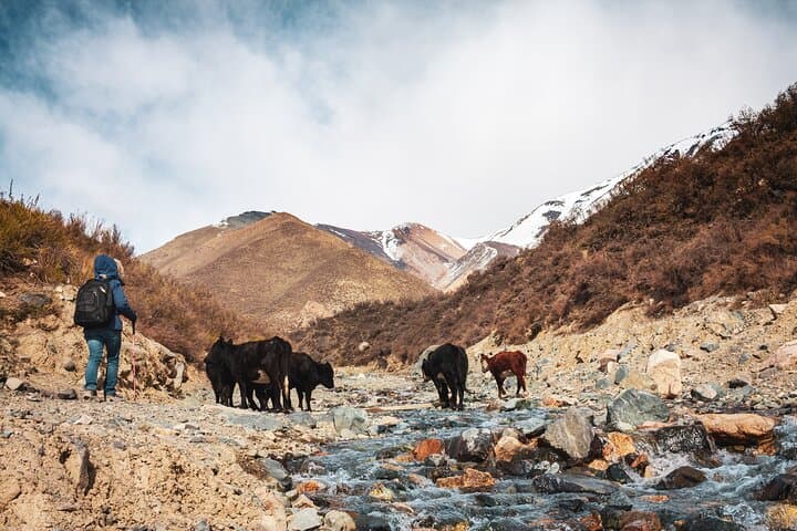 Andes Front Range Trek with Gaucho Asado near Potrerillos photo 3