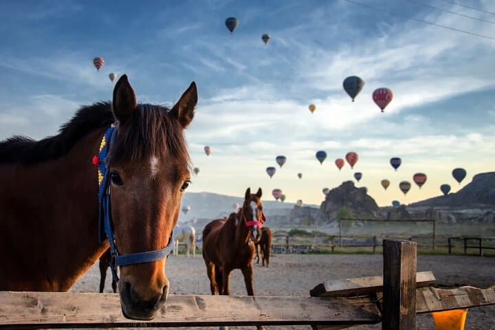 Cappadocia 2-Day Tour from Antalya: Hot-Air Balloons, Underground Cities & Sunset Valleys photo 3