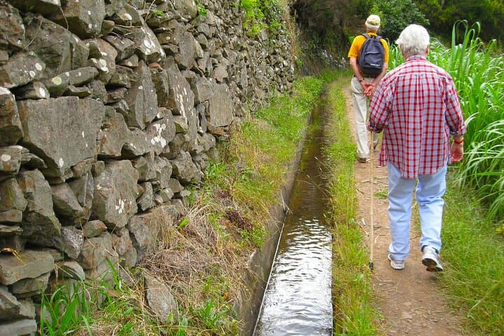 Maroços Mimosa Valley Levada Walk — 6 km Guided Levada Hike from Funchal photo 3