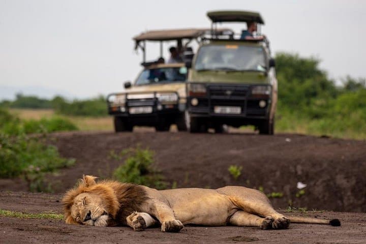 Amboseli National Park Day Safari — Kilimanjaro Views & Classic Game Drives photo 2