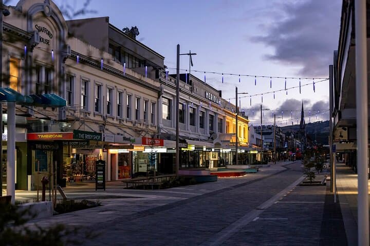 Dunedin Half-Day Private Tour: City Sights & Otago Peninsula Wildlife photo 4