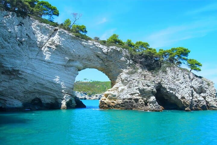 Explore Costa del Gargano by Boat: Caves, Trabucchi & Baia delle Zagare