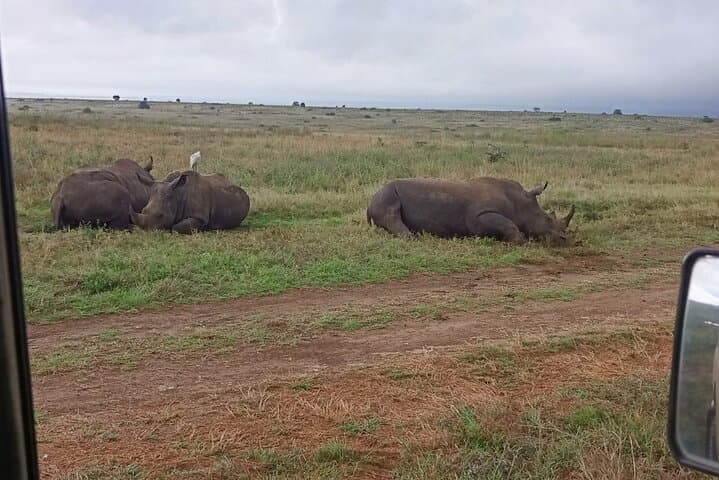 Exploring Nairobi National Park: A Rare Urban Safari Just Outside the City photo 6