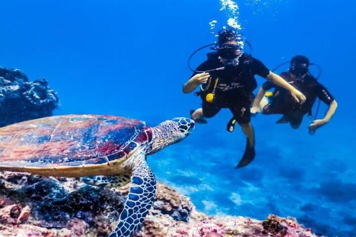 Intro Scuba Diving in Hurghada: 2 Short Dives with Lunch on the Red Sea