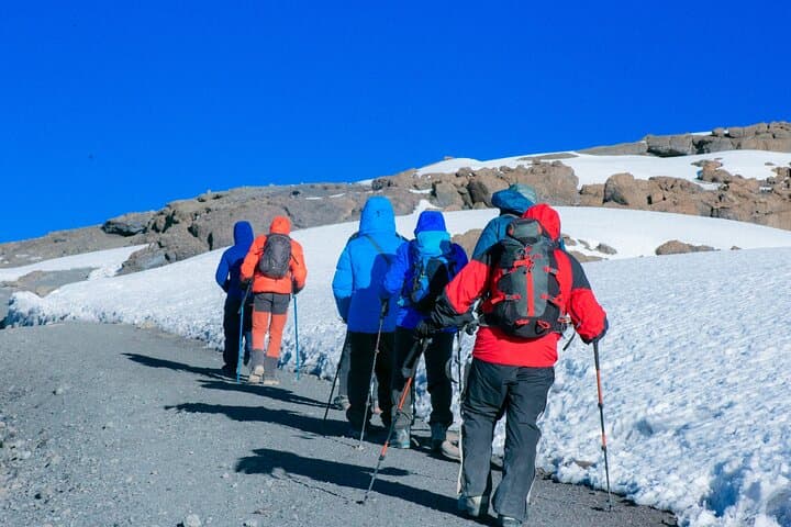 7-Day Lemosho Route Kilimanjaro Climb: Summit Uhuru Peak in One Week photo 4