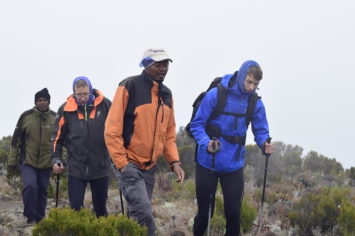 7-Day Lemosho Route Kilimanjaro Climb: Summit Uhuru Peak in One Week