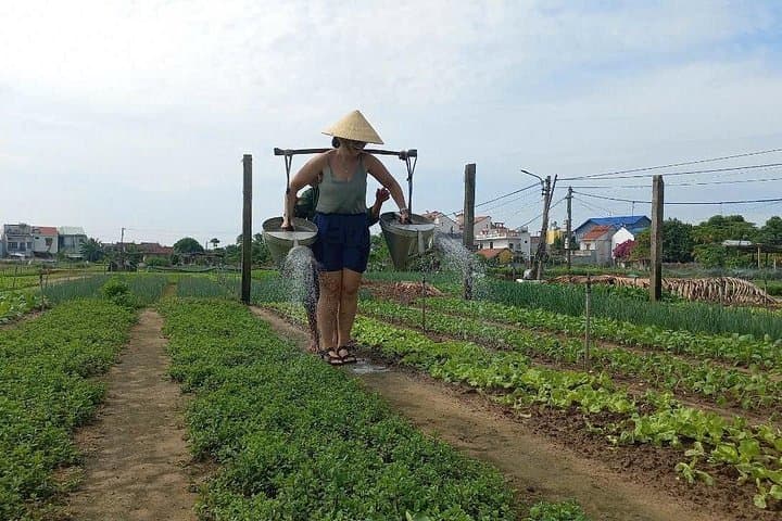 Hoi An Countryside Bike Tour: Basket Boat Ride & Tra Que Cooking Class photo 1