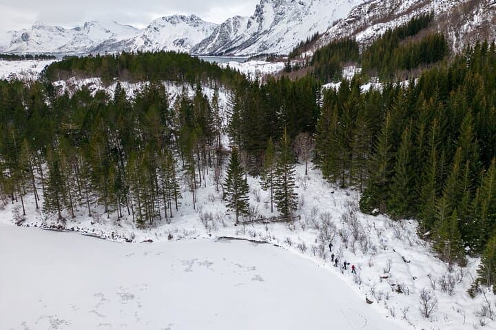 Gentle Snowshoeing in Lofoten: Easy Guided Tour in Vagan
