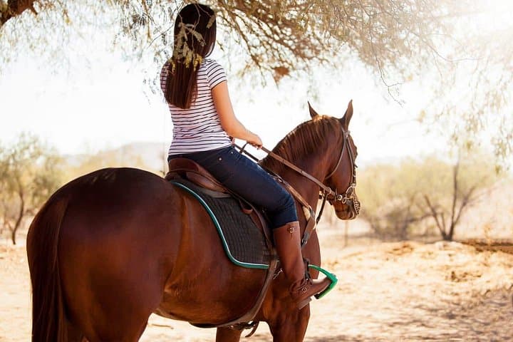Agadir Camel and Horse Ride: Scenic Desert & Countryside Adventure photo 2