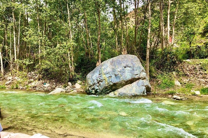 Ourika Valley Day Trip: Atlas Mountains, Argans & Setti Fatma Waterfalls photo 2