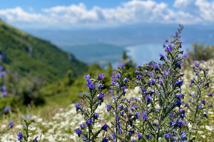 Two Lakes Trail Hike: Ohrid to Prespa on Galicica Ridge photo 5