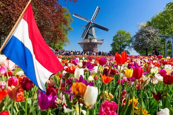 Keukenhof Tulip Fields Day Trip from Amsterdam — Private Bulb-Area Tour photo 1