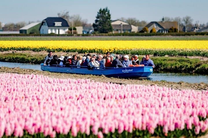 Keukenhof Tulip Fields Day Trip from Amsterdam — Private Bulb-Area Tour photo 2