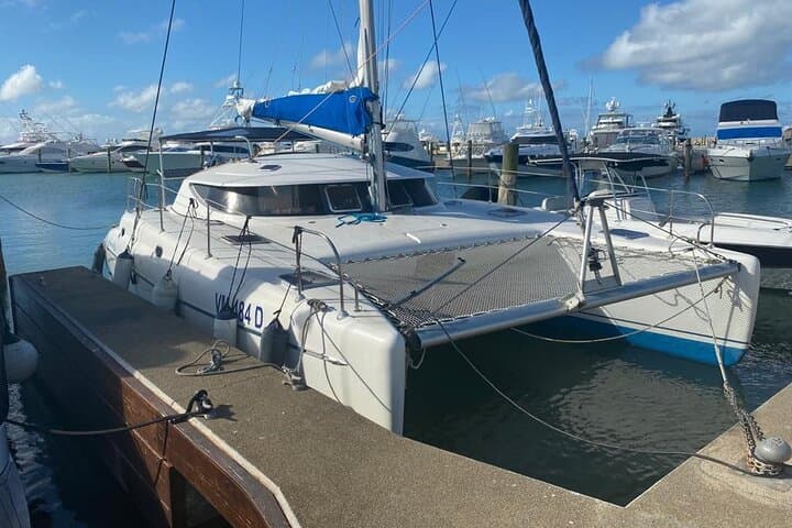 Saona Island Private Catamaran Day Trip from Bayahibe photo 3