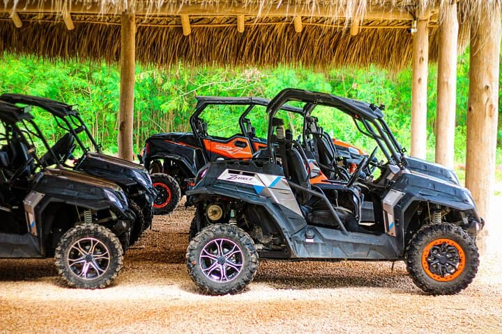 Punta Cana Jet Ski and Buggy Adventure — Half-Day Combo with Jet Ski, Buggy & Park Access photo 2
