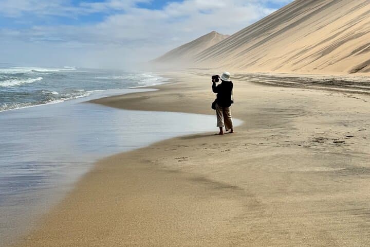 Sandwich Harbour 4x4 Scenic Excursion — Walvis Bay Desert-to-Sea Tour