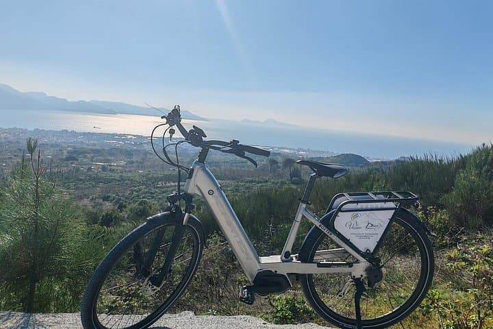 E-Bike and Hike to Mount Vesuvius Crater: Day Tour from Naples photo 3
