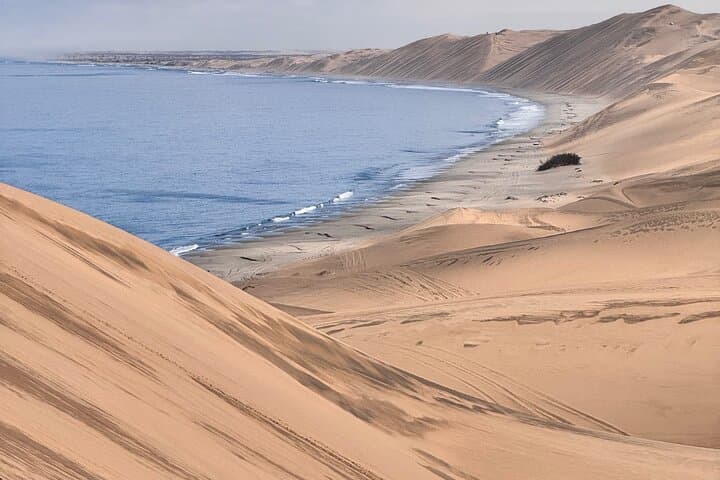 Sandwich Harbour 4x4 Scenic Excursion — Walvis Bay Desert-to-Sea Tour photo 5